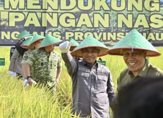Hadiri Panen Raya TNI di Siak Kecil, Wabup Bagus Santoso Tegaskan Komitmen Bengkalis Dukung Ketahanan Pangan Nasional