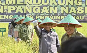 Hadiri Panen Raya TNI di Siak Kecil, Wabup Bagus Santoso Tegaskan Komitmen Bengkalis Dukung Ketahanan Pangan Nasional