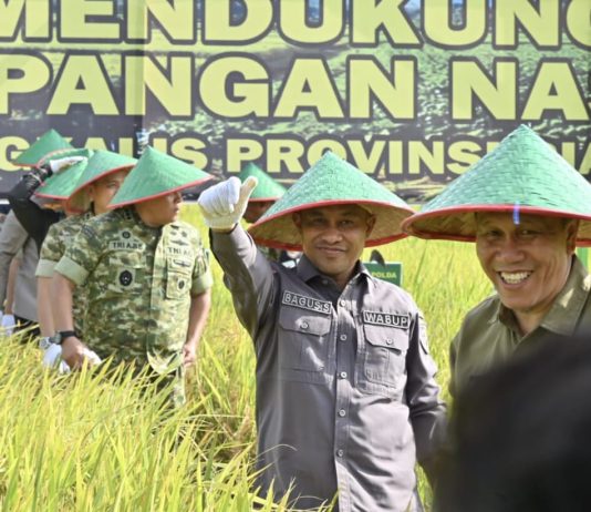 Hadiri Panen Raya TNI di Siak Kecil, Wabup Bagus Santoso Tegaskan Komitmen Bengkalis Dukung Ketahanan Pangan Nasional