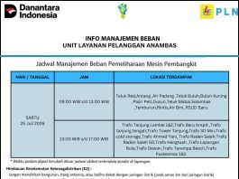 PLN ULP Anambas Lakukan Pemeliharaan Pembangkit, Sejumlah Wilayah di Pulau Siantan Alami Pemadaman Bergilir Sabtu Ini