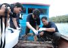 KOMPAK Gandeng PT Soechi Lines Tbk. LKP Pekanbaru Lanjutkan Rehabilitasi Terumbu Karang di Pulau Pahat
