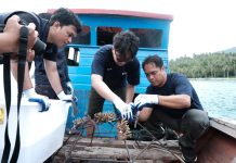 KOMPAK Gandeng PT Soechi Lines Tbk. LKP Pekanbaru Lanjutkan Rehabilitasi Terumbu Karang di Pulau Pahat