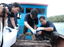 KOMPAK Gandeng PT Soechi Lines Tbk. LKP Pekanbaru Lanjutkan Rehabilitasi Terumbu Karang di Pulau Pahat