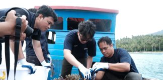 KOMPAK Gandeng PT Soechi Lines Tbk. LKP Pekanbaru Lanjutkan Rehabilitasi Terumbu Karang di Pulau Pahat