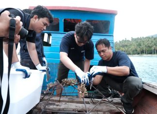 KOMPAK Gandeng PT Soechi Lines Tbk. LPK Pekanbaru Lanjutkan Rehabilitasi Terumbu Karang di Pulau Pahat
