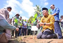 Perkuat Pasokan Buah Lokal, Pemko Payakumbuh Tanam 3 Ribu Bibit Pisang