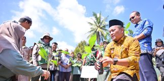 Perkuat Pasokan Buah Lokal, Pemko Payakumbuh Tanam 3 Ribu Bibit Pisang
