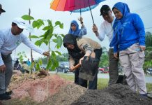 Afni Ajak Warga Rawat Pohon, 5.050 Bibit Ditanam di Jalur Mempura-Dayun