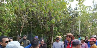 Saling Mengklaim, Polemik Lahan Kebun POLINDU-LALIBO Memanas, Pemerintah Kecamatan Hentikan Aktifitas Sementara