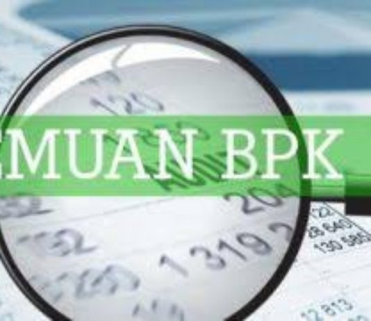 BPK Temukan 81 Kendaraan Dinas Pemkab Anambas Menunggak Pajak, 145 Unit Tak Diketahui Keberadaannya