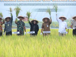 Smart Farming Binaan BI di Bunga Raya Tunjukkan Hasil, Produktivitas Padi Meningkat
