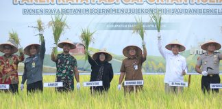 Smart Farming Binaan BI di Bunga Raya Tunjukkan Hasil, Produktivitas Padi Meningkat