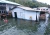 BREAKING NEWS: Rumah Warga di Desa Nyamuk Ambruk ke Laut, Roboh dalam Hitungan Detik