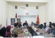 Bawaslu Natuna Perkuat Kader Pengawas Partisipatif Menuju Pemilu 2029 yang Bermartabat