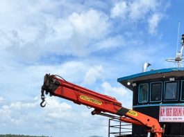 Bibit Kelapa Unggul Natuna Kian Diminati, Karantina Kepri Kawal Pengiriman 80 Ribu Butir ke Bintan