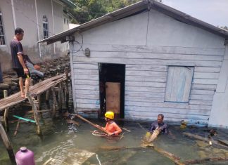 TRC BPBD Siantan Timur Gerak Cepat Tangani Rumah Roboh di Desa Nyamuk, Empat Warga Mengungsi