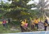 Sambut HUT ke-81 RI, Polsek Bunguran Timur Bersama Kecamatan Gelar Gotong Royong Bersihkan Pantai Piwang