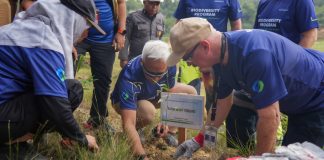Perkuat Ketahanan Air Baku, BP Batam Gandeng Mc Dermott Tanam 400 Bambu Betung di Bendungan Sei Nongsa