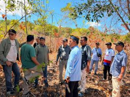 Kawal Kesiapan Lahan PLTS, Pemda dan DPRD Buton Selatan Dorong Kadatua Mandiri Energi