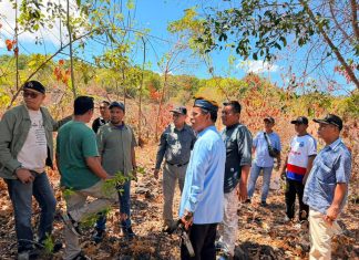 Kawal Kesiapan Lahan PLTS, Pemda dan DPRD Buton Selatan Dorong Kadatua Mandiri Energi