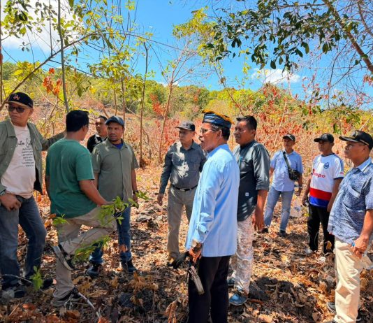 Kawal Kesiapan Lahan PLTS, Pemda dan DPRD Buton Selatan Dorong Kadatua Mandiri Energi