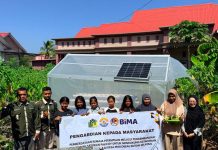 Dukung Ketahanan Pangan, UMU Buton Dampingi Remaja Perempuan Mokobeau Kembangkan Hidroponik di Pulau Siompu