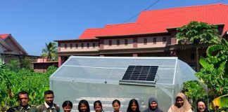 Dukung Ketahanan Pangan, UMU Buton Dampingi Remaja Perempuan Mokobeau Kembangkan Hidroponik di Pulau Siompu