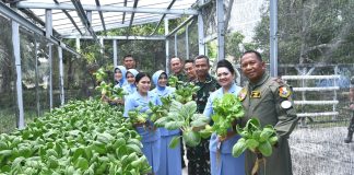 Dari Lahan Sederhana, PIA AG Lanud RSA Natuna Panen Sawi Pakcoy