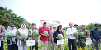 Bupati Siak Afni Apresiasi Pemanfaatan Dana Desa untuk Ketahanan Pangan, Dorong Penguatan Ekonomi Masyarakat