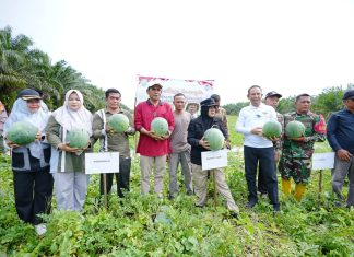 Bupati Siak Afni Apresiasi Pemanfaatan Dana Desa untuk Ketahanan Pangan, Dorong Penguatan Ekonomi Masyarakat