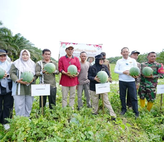 Bupati Siak Afni Apresiasi Pemanfaatan Dana Desa untuk Ketahanan Pangan, Dorong Penguatan Ekonomi Masyarakat