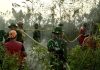 Sinergi TNI/Polri,BPBD Lingga dan Tim Gabungan Berhasil Padamkan Karhutla di Desa Bukit Langkap