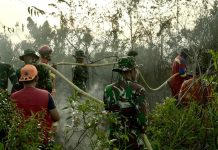 Sinergi TNI/Polri,BPBD Lingga dan Tim Gabungan Berhasil Padamkan Karhutla di Desa Bukit Langkap