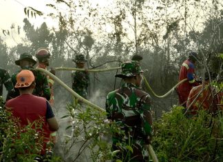 Sinergi TNI/Polri,BPBD Lingga dan Tim Gabungan Berhasil Padamkan Karhutla di Desa Bukit Langkap
