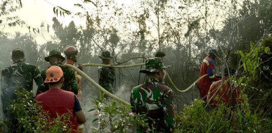 Sinergi TNI/Polri,BPBD Lingga dan Tim Gabungan Berhasil Padamkan Karhutla di Desa Bukit Langkap