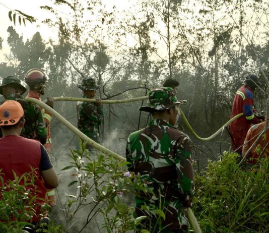 Sinergi TNI/Polri,BPBD Lingga dan Tim Gabungan Berhasil Padamkan Karhutla di Desa Bukit Langkap
