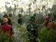 Sinergi TNI/Polri,BPBD Lingga dan Tim Gabungan Berhasil Padamkan Karhutla di Desa Bukit Langkap