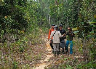 Hari Ketiga Pencarian, SAR Natuna Temukan Empat Warga Tersesat di Hutan Gunung Bedung dalam Kondisi Selamat