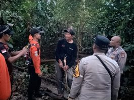 Warga Tersesat Saat Cari Bunga Kembang Semangkok di Hutan Jemaja Timur Ditemukan Selamat