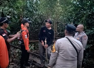 Warga Tersesat Saat Cari Bunga Kembang Semangkok di Hutan Jemaja Timur Ditemukan Selamat