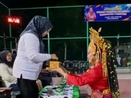 Dukung Pengembangan Bakat Atlet Muda, Ketua DPRD Lingga Mayasari Buka Turnamen Voli Senempek Open I
