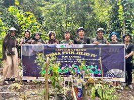 Mahasiswa KKN IAIN Langsa Gelar “Lentera Hijau”, Tanam Bibit Pohon di Perbukitan Desa Leles