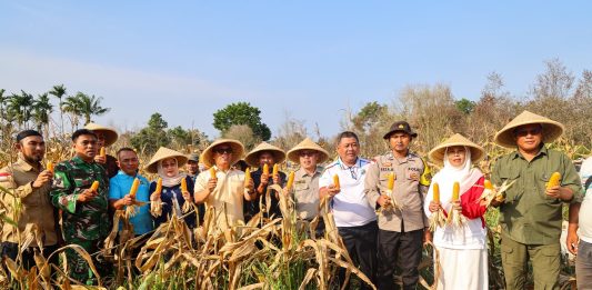 Wagub Nyanyang Panen Bersama Poktan Bintan Jaya, Dorong Penguatan Pertanian Kepri
