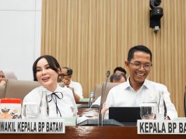 Anggaran BP Batam 2027 sebesar Rp2,44 Triliun, Fokus Pengembangan Investasi Inklusif dan Kawasan