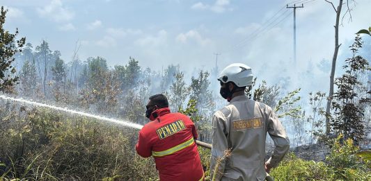 Gerak Cepat Polisi, Damkar dan Warga Cegah Kebakaran Lahan Meluas