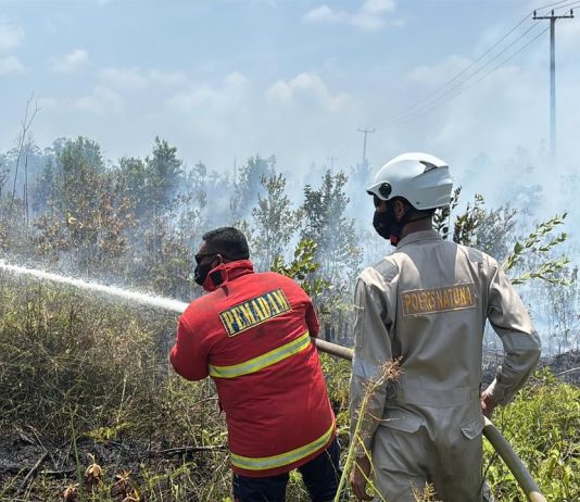 Gerak Cepat Polisi, Damkar dan Warga Cegah Kebakaran Lahan Meluas