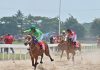 Kota Payakumbuh Kembali Dipercaya Jadi Tuan Rumah Indonesia’s Horse Racing Merdeka Cup 2026