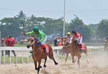 Kota Payakumbuh Kembali Dipercaya Jadi Tuan Rumah Indonesia’s Horse Racing Merdeka Cup 2026