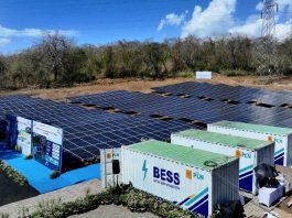 PLN Siap Optimalkan Energi Surya, PLTS 100 GWp Dorong Efisiensi dan Penguatan Energi Domestik