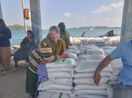 Ratusan Warga Pena’ah Terima Bantuan Beras Bulog, KPM Dapat 30 Kilogram
